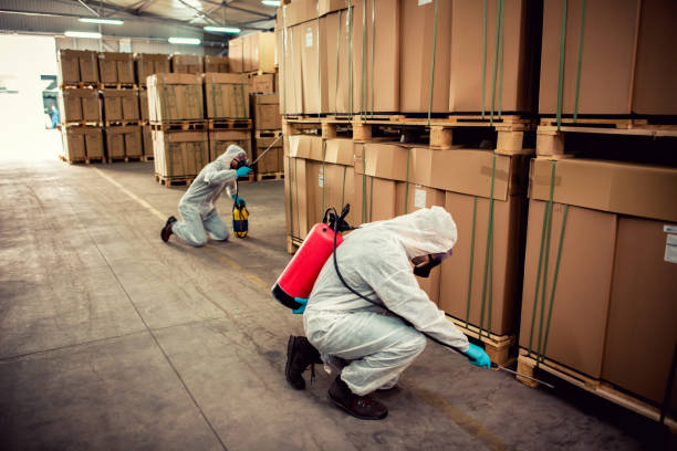 Best Pest Prevention Services  in Hollister, CA