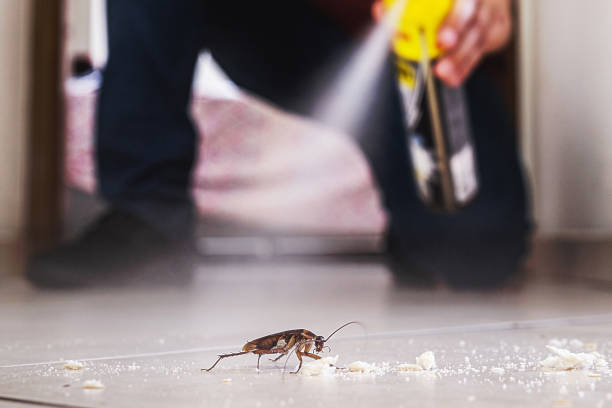 Pest Prevention Services in Hollister, CA